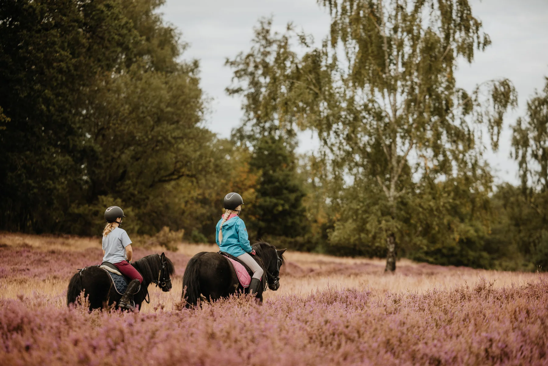 Zwei Kinder auf den Ponys in der blühenden Heide