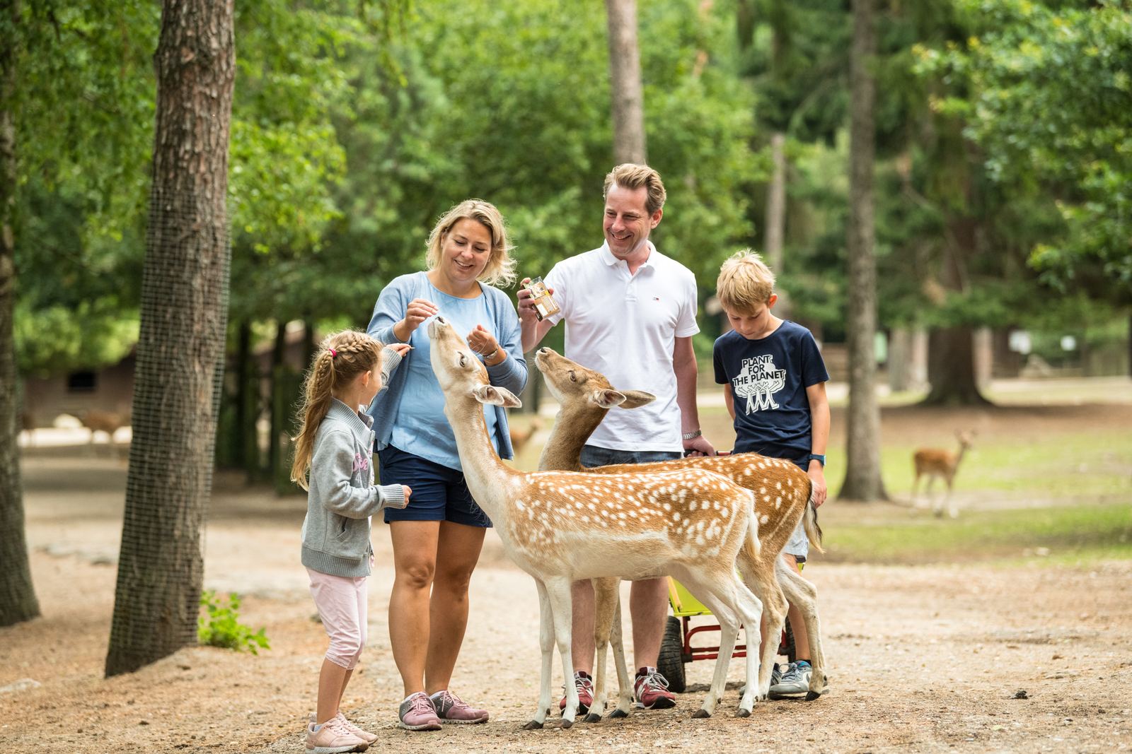 Familie bei einem Tiererlebnis in der Lüneburger Heide