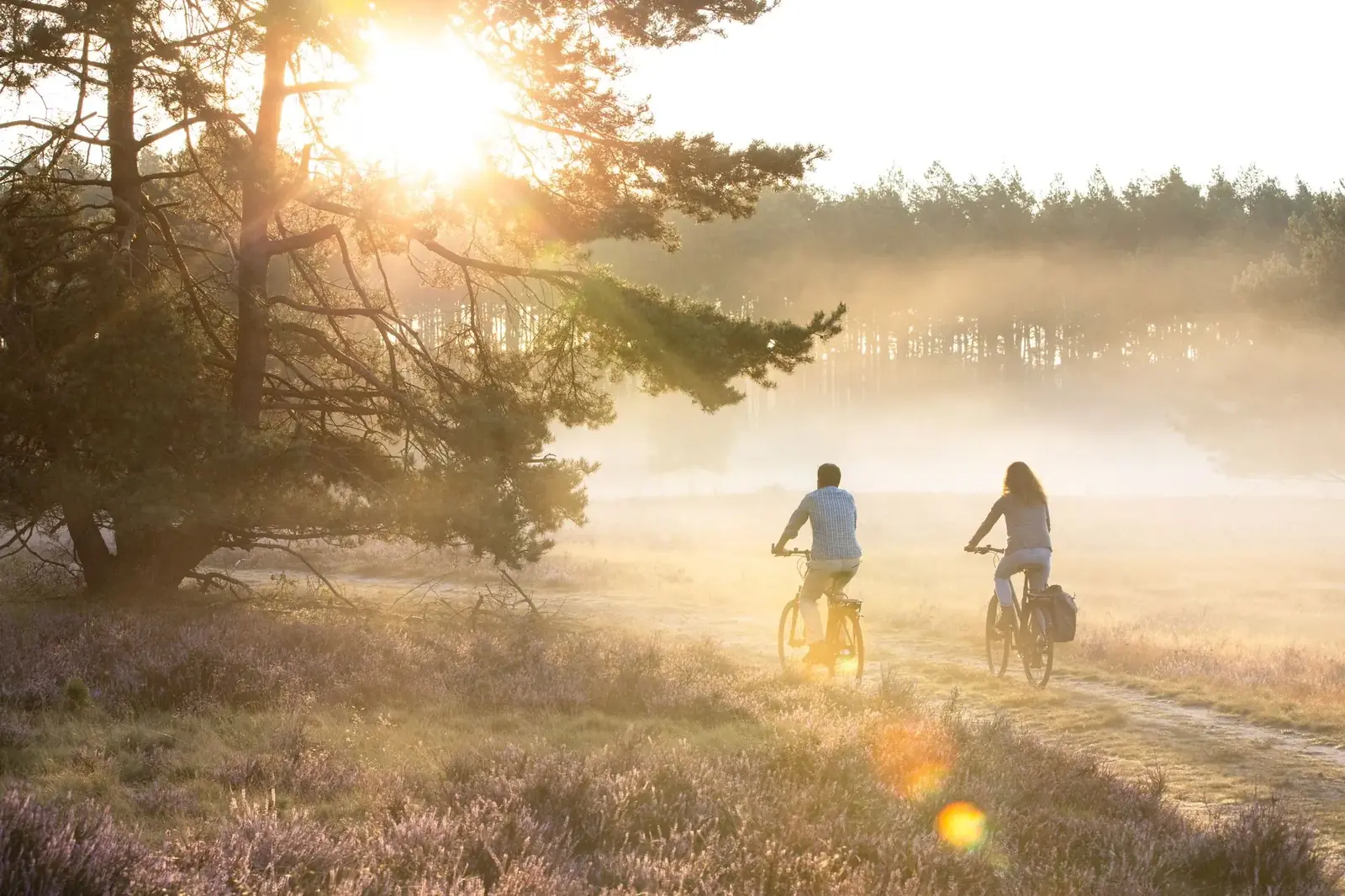 Radfahrende in morgendlicher Heidelandschaft