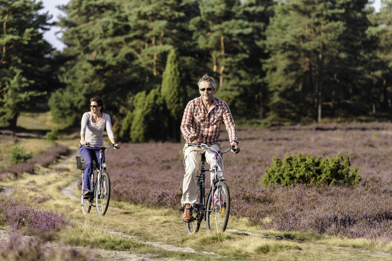 Zwei Radfahrende auf einem Weg durch die Lüneburger Heide