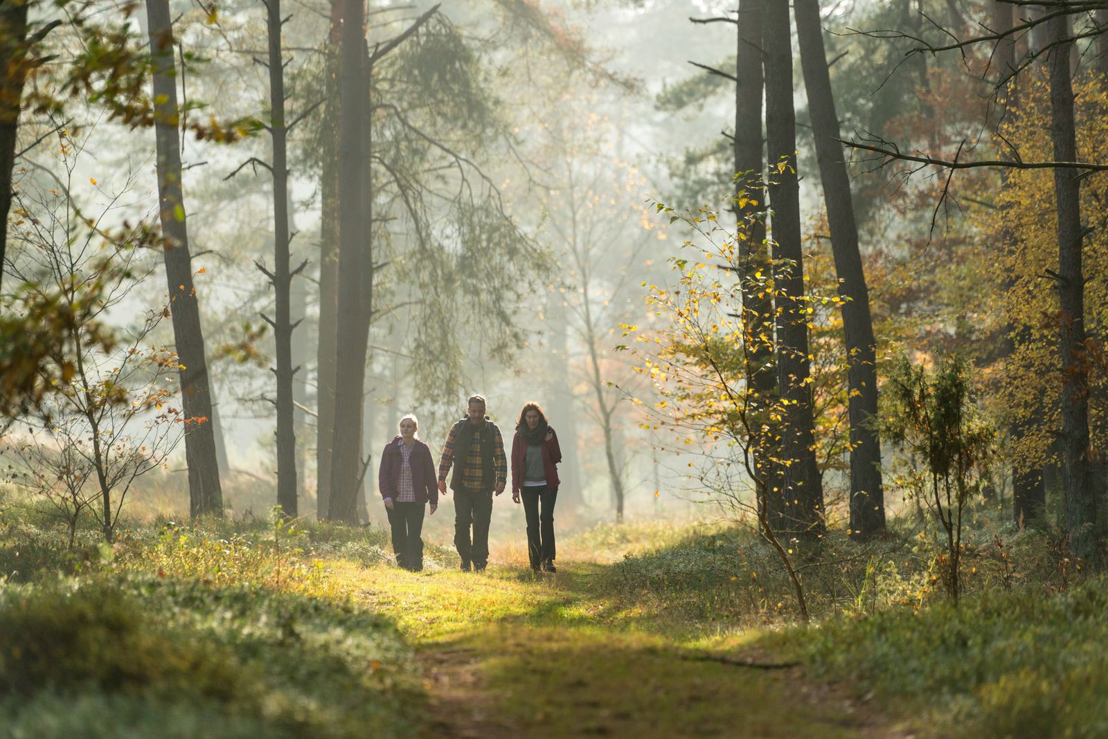 Wandergruppe in einem lichtdurchfluteten Herbstwald