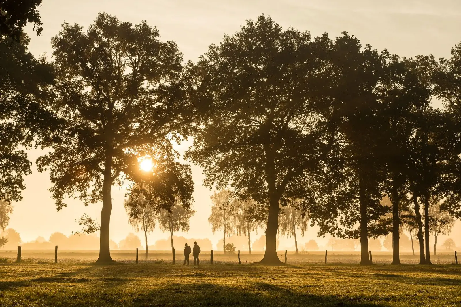Menschen in einer ruhigen Morgenstimmung in der Lüneburger Heide