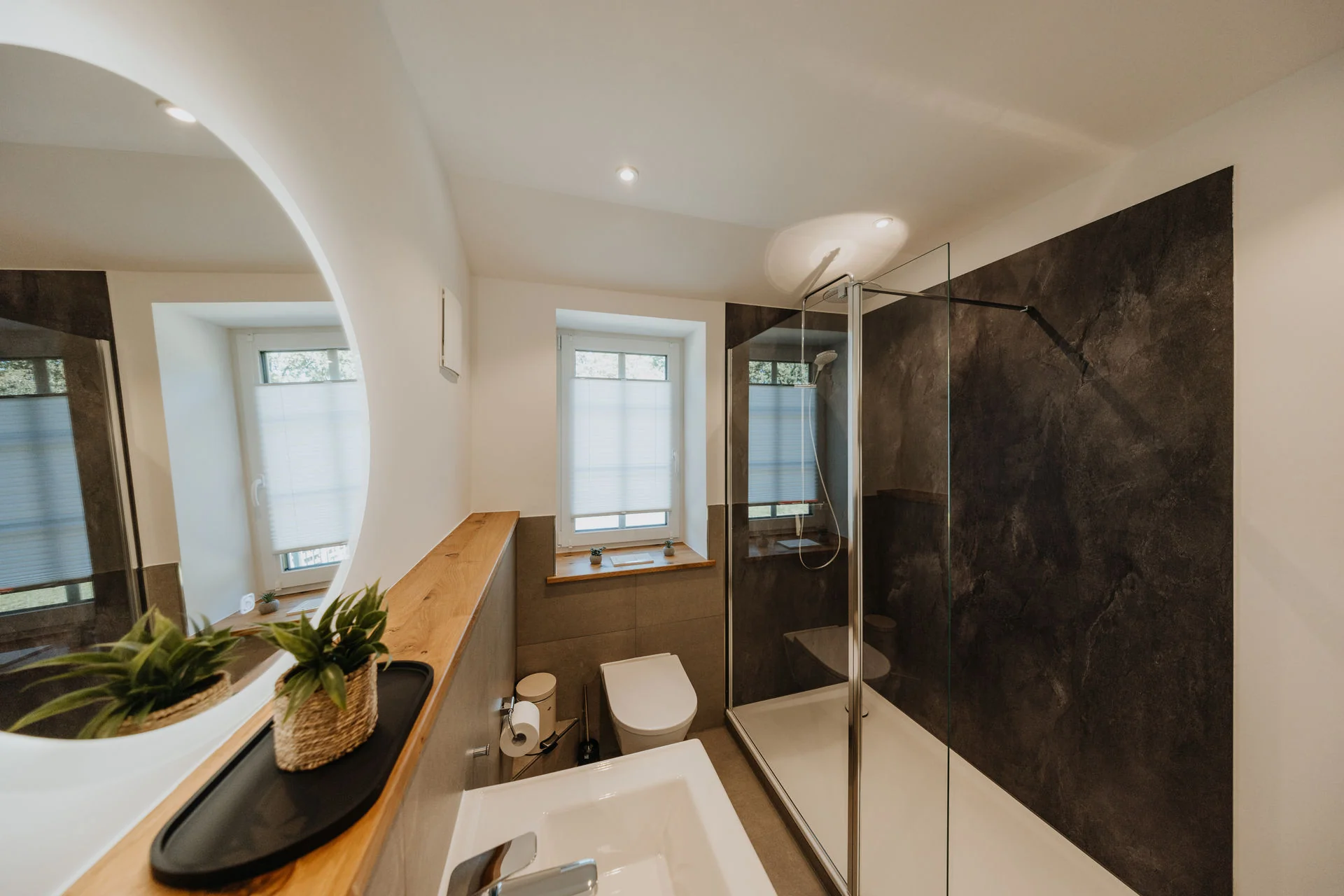 HeidePanorama: Duschbad mit Glasdusche, Waschbecken und Fenstern